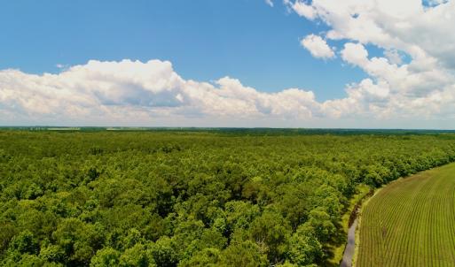 Photo #15 of Off Hwy 264, Swan Quarter, NC 252.0 acres