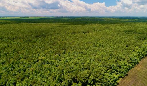 Photo #17 of Off Hwy 264, Swan Quarter, NC 252.0 acres