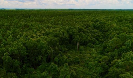 Photo #37 of Off Hwy 264, Swan Quarter, NC 252.0 acres