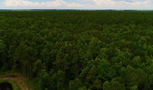 Photo #38 of Off Hwy 264, Swan Quarter, NC 252.0 acres