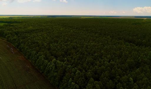 Photo #43 of Off Hwy 264, Swan Quarter, NC 252.0 acres