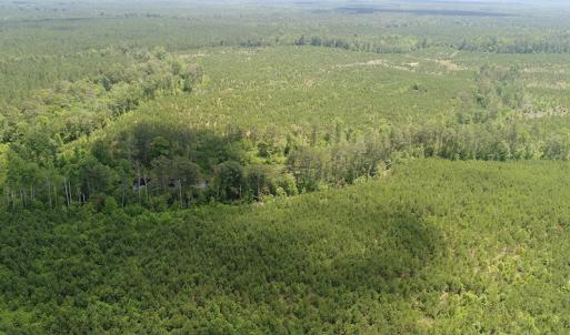Photo #2 of SOLD property in Off Liberty Hall Road, King and Queen, VA 187.0 acres