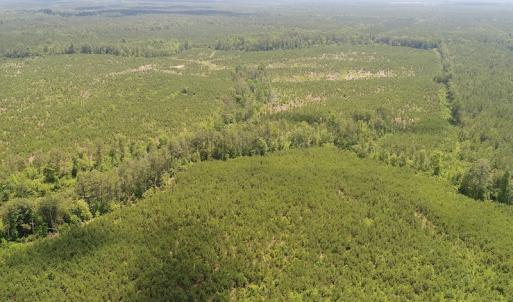 Photo #3 of SOLD property in Off Liberty Hall Road, King and Queen, VA 187.0 acres