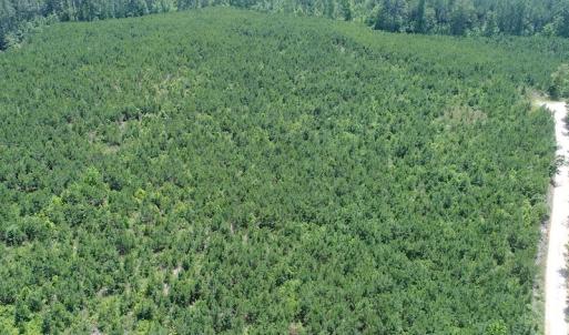 Photo #4 of SOLD property in Off Liberty Hall Road, King and Queen, VA 187.0 acres