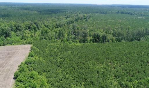 Photo #5 of SOLD property in Off Liberty Hall Road, King and Queen, VA 187.0 acres
