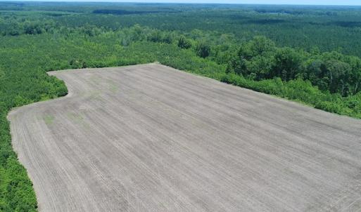 Photo #6 of SOLD property in Off Liberty Hall Road, King and Queen, VA 187.0 acres