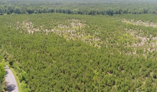 Photo #7 of SOLD property in Off Liberty Hall Road, King and Queen, VA 187.0 acres