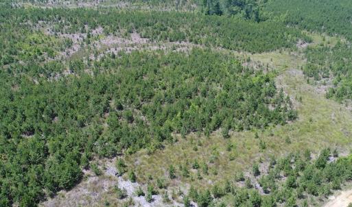 Photo #8 of SOLD property in Off Liberty Hall Road, King and Queen, VA 187.0 acres
