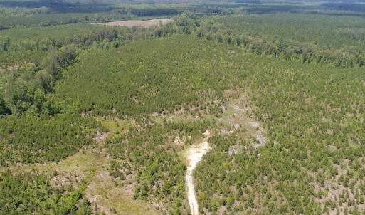 Photo #9 of SOLD property in Off Liberty Hall Road, King and Queen, VA 187.0 acres