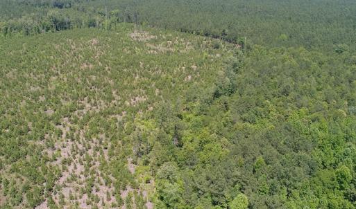 Photo #10 of SOLD property in Off Liberty Hall Road, King and Queen, VA 187.0 acres