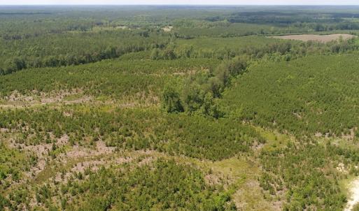 Photo #12 of SOLD property in Off Liberty Hall Road, King and Queen, VA 187.0 acres