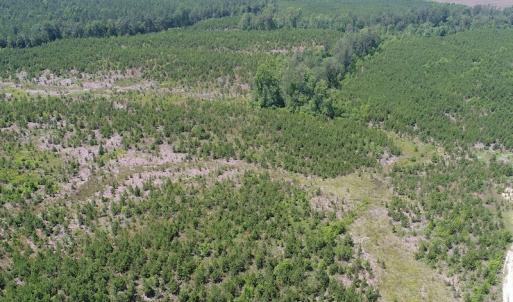 Photo #14 of SOLD property in Off Liberty Hall Road, King and Queen, VA 187.0 acres