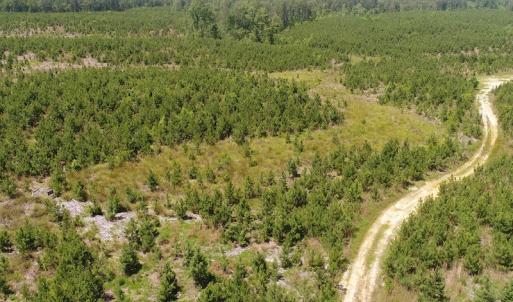 Photo #15 of SOLD property in Off Liberty Hall Road, King and Queen, VA 187.0 acres