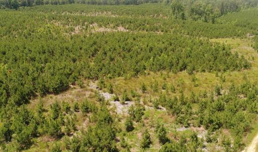 Photo #16 of SOLD property in Off Liberty Hall Road, King and Queen, VA 187.0 acres