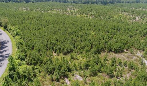 Photo #18 of SOLD property in Off Liberty Hall Road, King and Queen, VA 187.0 acres