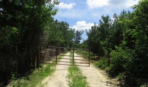 Photo #19 of SOLD property in Off Liberty Hall Road, King and Queen, VA 187.0 acres