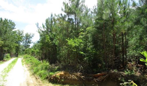 Photo #20 of SOLD property in Off Liberty Hall Road, King and Queen, VA 187.0 acres