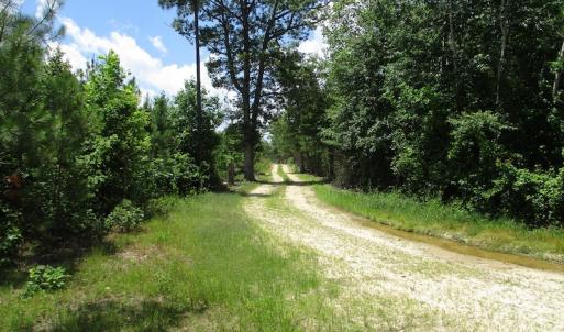 Photo #23 of SOLD property in Off Liberty Hall Road, King and Queen, VA 187.0 acres