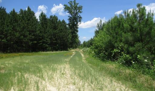 Photo #24 of SOLD property in Off Liberty Hall Road, King and Queen, VA 187.0 acres
