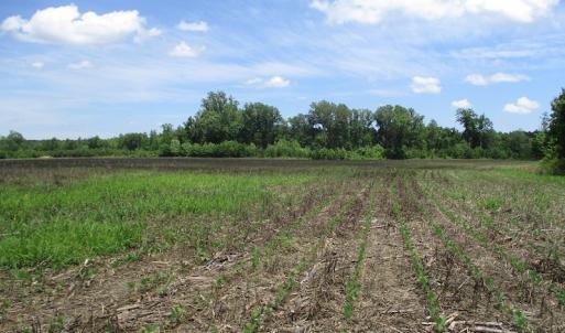Photo #26 of SOLD property in Off Liberty Hall Road, King and Queen, VA 187.0 acres
