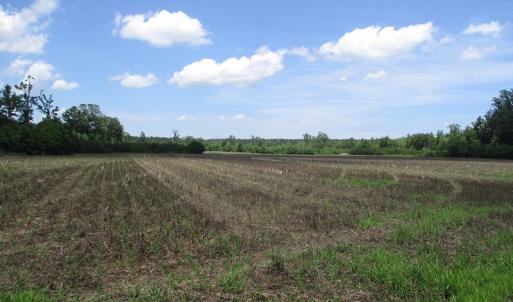 Photo #27 of SOLD property in Off Liberty Hall Road, King and Queen, VA 187.0 acres