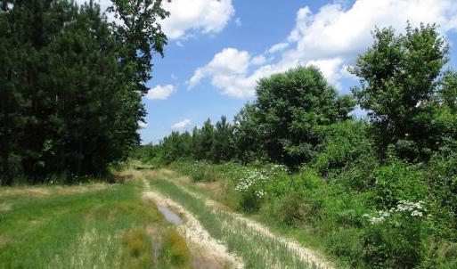Photo #29 of SOLD property in Off Liberty Hall Road, King and Queen, VA 187.0 acres