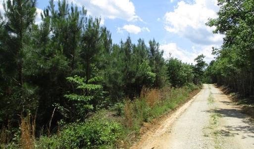 Photo #30 of SOLD property in Off Liberty Hall Road, King and Queen, VA 187.0 acres