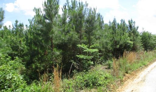 Photo #31 of SOLD property in Off Liberty Hall Road, King and Queen, VA 187.0 acres