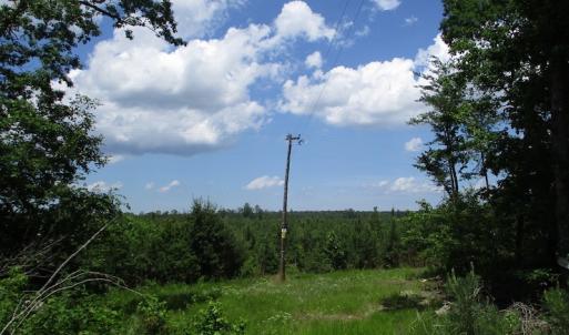 Photo #33 of SOLD property in Off Liberty Hall Road, King and Queen, VA 187.0 acres