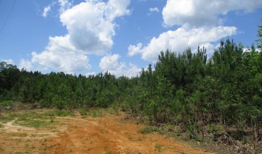 Photo #34 of SOLD property in Off Liberty Hall Road, King and Queen, VA 187.0 acres