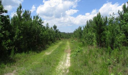 Photo #36 of SOLD property in Off Liberty Hall Road, King and Queen, VA 187.0 acres