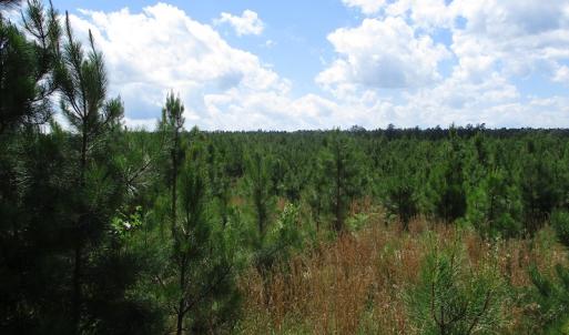 Photo #37 of SOLD property in Off Liberty Hall Road, King and Queen, VA 187.0 acres