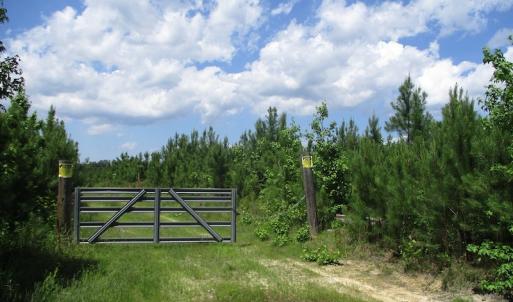 Photo #40 of SOLD property in Off Liberty Hall Road, King and Queen, VA 187.0 acres