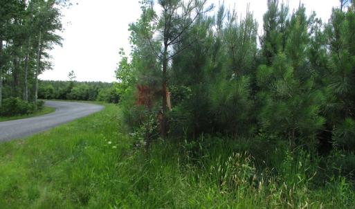 Photo #41 of SOLD property in Off Liberty Hall Road, King and Queen, VA 187.0 acres