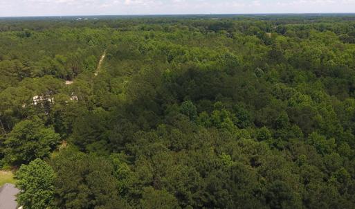 Photo #15 of SOLD property in Off Palmer Street, Tarboro, NC 13.1 acres
