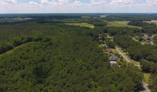 Photo #3 of SOLD property in Off Palmer Street, Tarboro, NC 13.1 acres