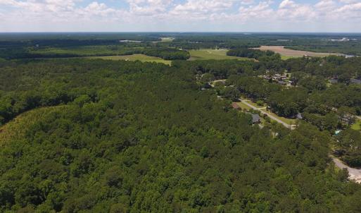 Photo #4 of SOLD property in Off Palmer Street, Tarboro, NC 13.1 acres