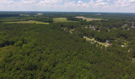 Photo #5 of SOLD property in Off Palmer Street, Tarboro, NC 13.1 acres