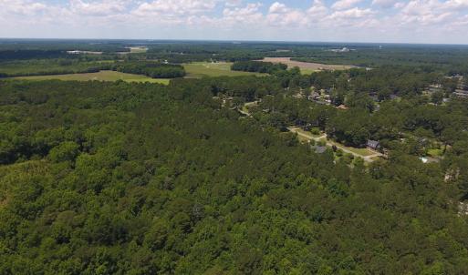 Photo #5 of SOLD property in Off Palmer Street, Tarboro, NC 13.1 acres