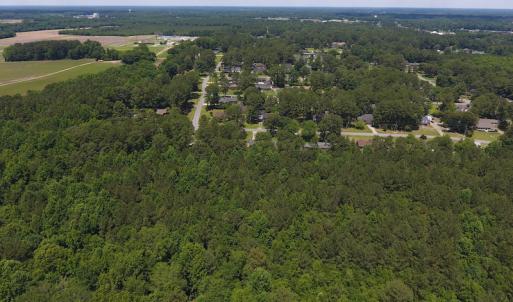 Photo #8 of SOLD property in Off Palmer Street, Tarboro, NC 13.1 acres