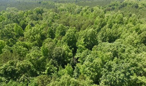 Photo #10 of SOLD property in Old Mill Rd, Halifax, VA 20.0 acres