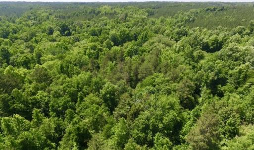Photo #11 of SOLD property in Old Mill Rd, Halifax, VA 20.0 acres
