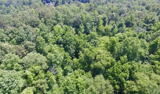 Photo #12 of SOLD property in Old Mill Rd, Halifax, VA 20.0 acres