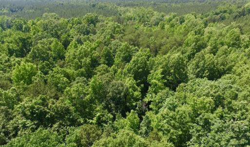 Photo #14 of SOLD property in Old Mill Rd, Halifax, VA 20.0 acres