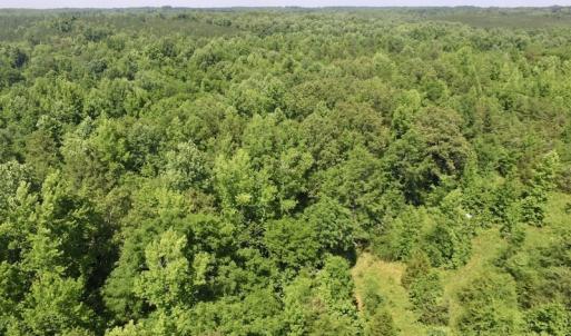 Photo #15 of SOLD property in Old Mill Rd, Halifax, VA 20.0 acres