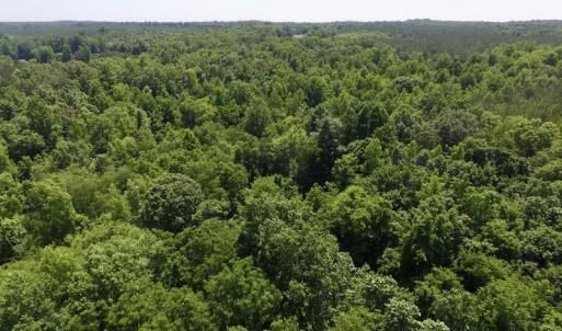 Photo #16 of SOLD property in Old Mill Rd, Halifax, VA 20.0 acres