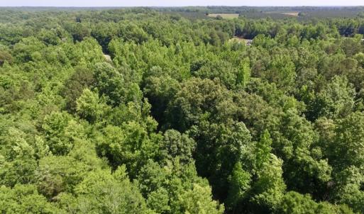 Photo #17 of SOLD property in Old Mill Rd, Halifax, VA 20.0 acres