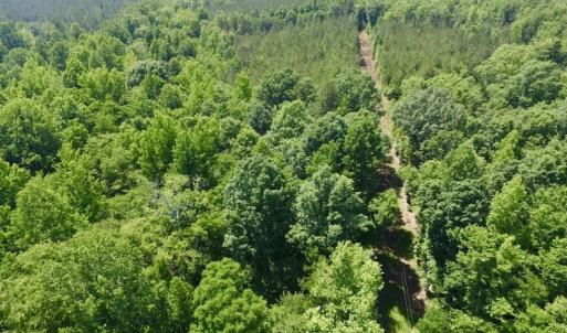 Photo #18 of SOLD property in Old Mill Rd, Halifax, VA 20.0 acres