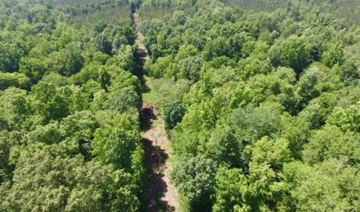 Photo #19 of SOLD property in Old Mill Rd, Halifax, VA 20.0 acres