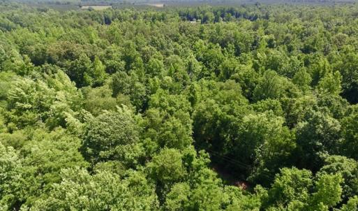 Photo #20 of SOLD property in Old Mill Rd, Halifax, VA 20.0 acres